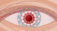 Коронавирусът може сериозно да увреди очите