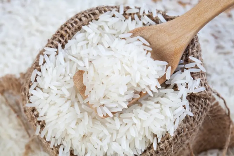 Производители на ориз искат помощ от държавата