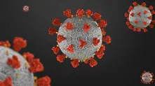 523 са новите случаи на коронавирус у нас