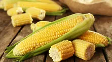 Молдова спира износа на царевица