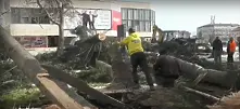 Частично бедствено положение във Враца заради ураганен вятър 