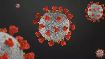 239 са новите случаи на коронавирус за денонощието