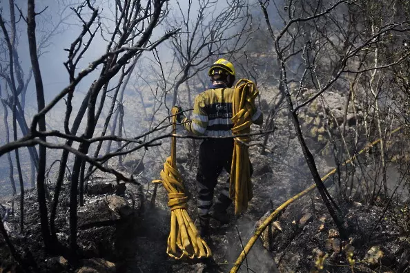 Огромен горски пожар бушува в Югоизточна Франция