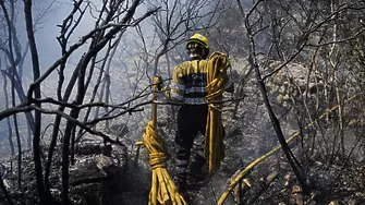 Огромен горски пожар бушува в Югоизточна Франция