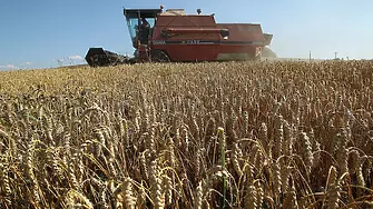 Русия и Украйна се договориха за деблокиране на износа на зърно