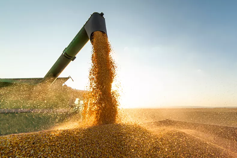 Украинските фермери прибраха 1 млн. тона зърно  