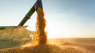 Украинските фермери прибраха 1 млн. тона зърно  
