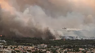 600 жители на атинските предградия напуснаха домовете си заради горски пожар 