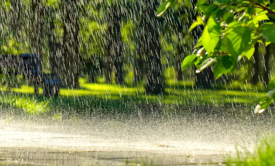 Времето: Жълт код за дъждове с гръмотевици в 16 области
