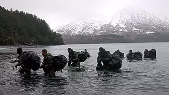 Какво можем да научим от военноморските тюлени за вземането на решения