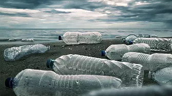 ОИСР: Използването на пластмаса ще се утрои до 2060 г.