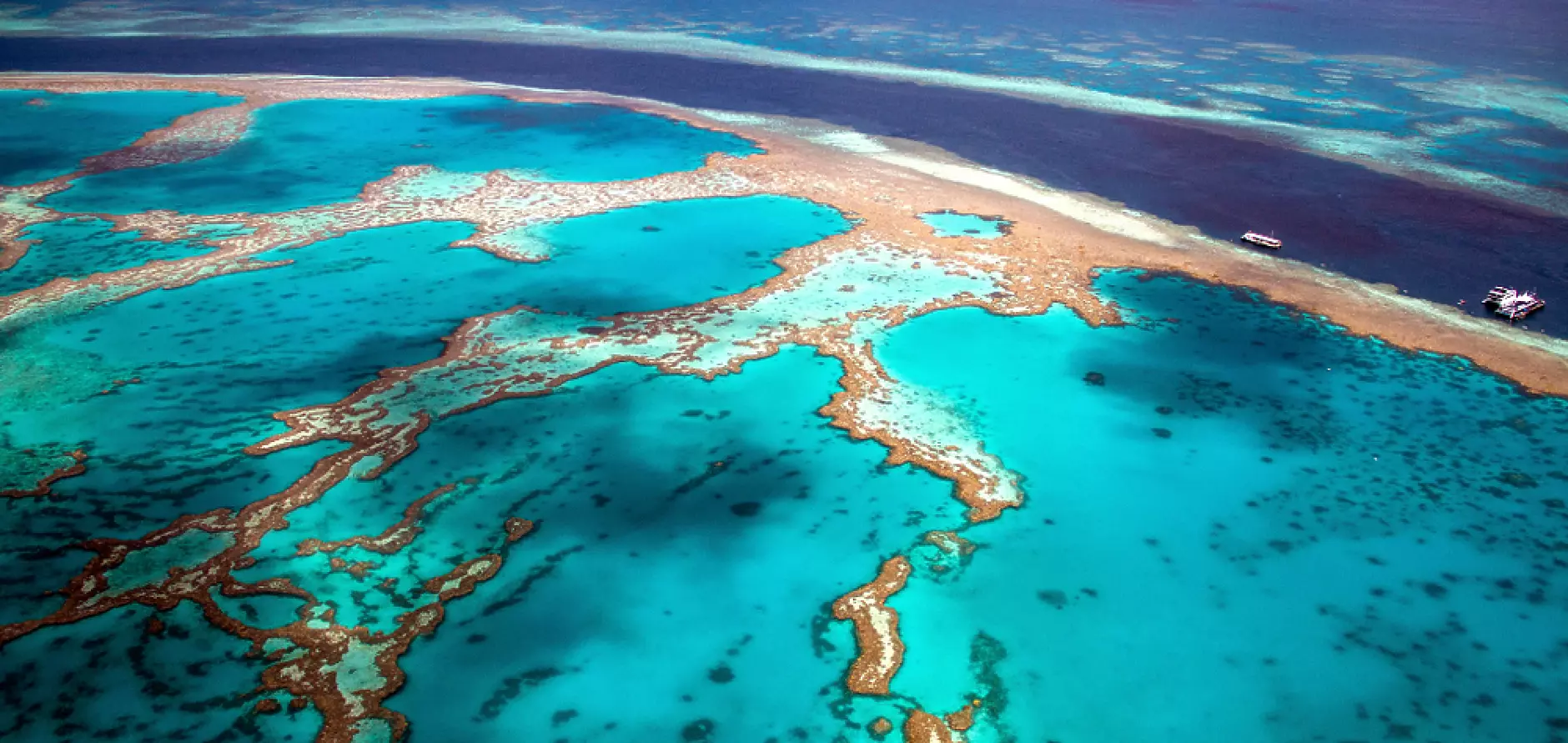 Части от Големия бариерен риф с най-голямо коралово покритие от 36 години насам