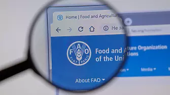 ФАО стартира глобална инициатива Една държава, един приоритетен продукт