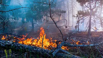 Пожарът над пазарджишките села Калугерово и Лесичово е овладян