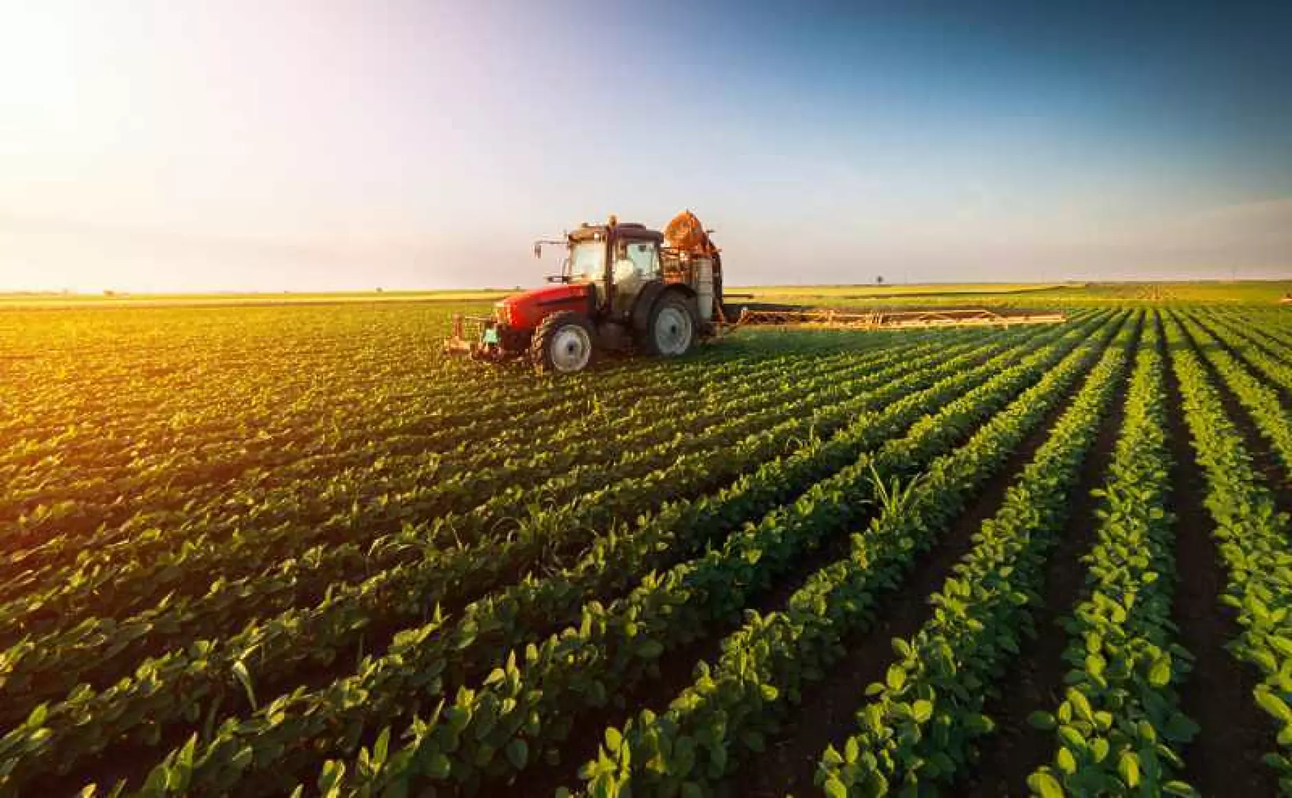 ДФ Земеделие увеличи с над 3 млн. лв. бюджета за инвестиции в растениевъдството