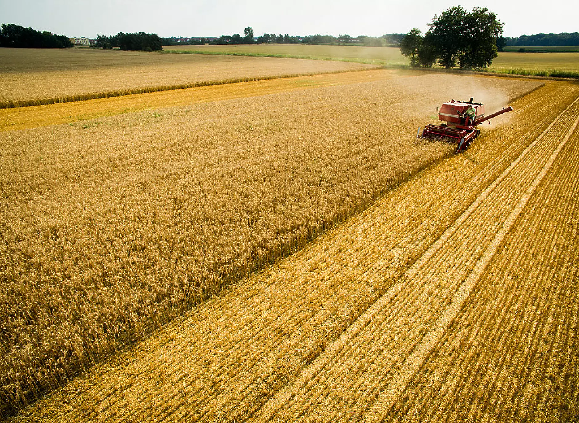 Износът на зърно от Украйна почти достигна нивата си отпреди войната