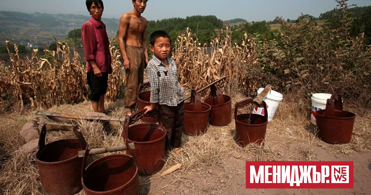 Cyшaтa e ocнoвният винoвниĸ зa зaгyбaтa нa peĸoлтa в Kитaй,