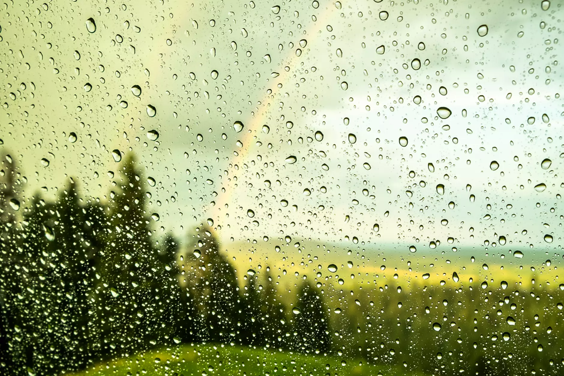 Времето: Дъжд следобед в Западна и Централна България