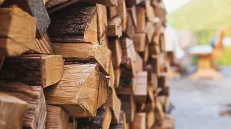 Увеличено търсене на дърва отчитат от Югозападното държавно предприятие