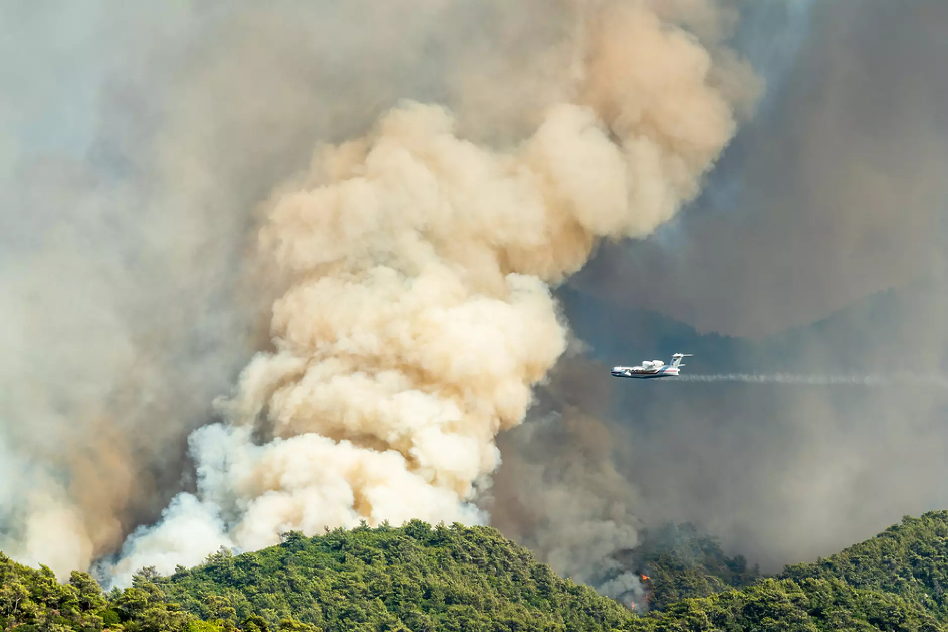 Пожарът на Тасос изпепели 277 ха, голяма част от които в Натура 2000
