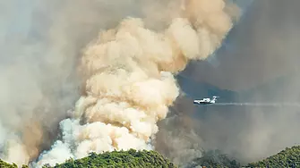 Пожарът на Тасос изпепели 277 ха, голяма част от които в Натура 2000
