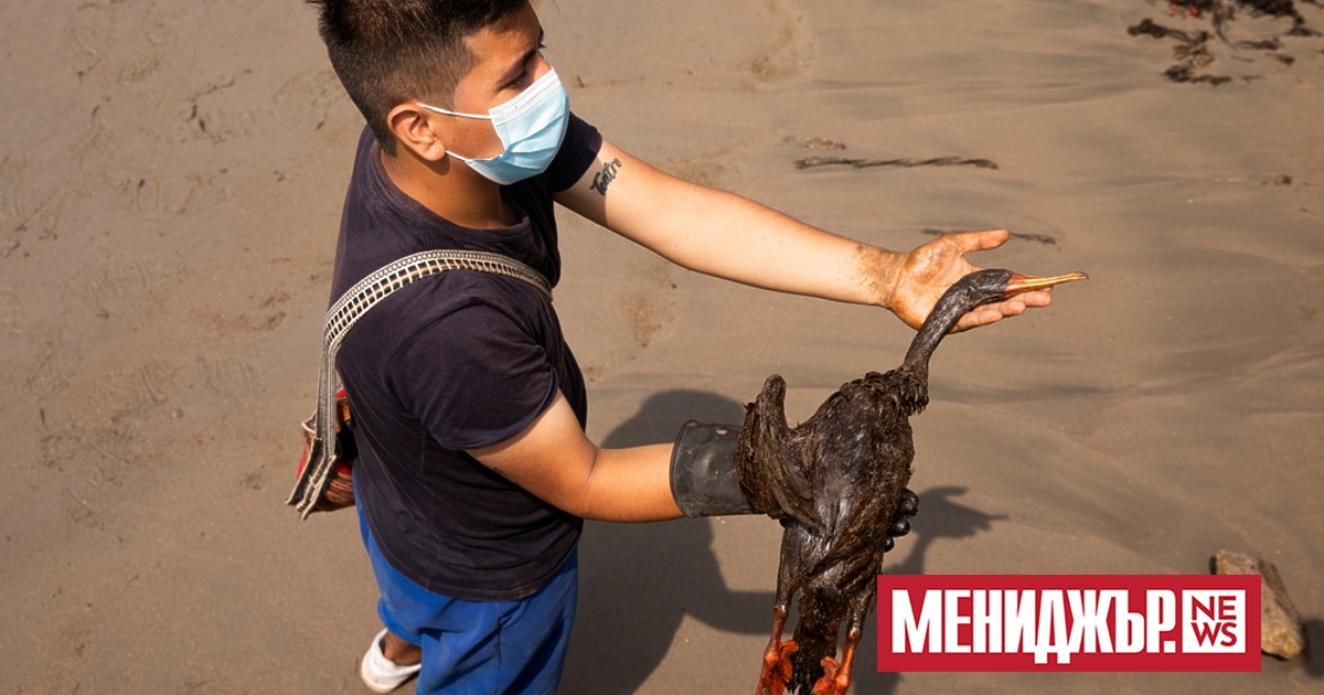 Агенцията за защита на потребителите на Перу (Indecopi ) съди