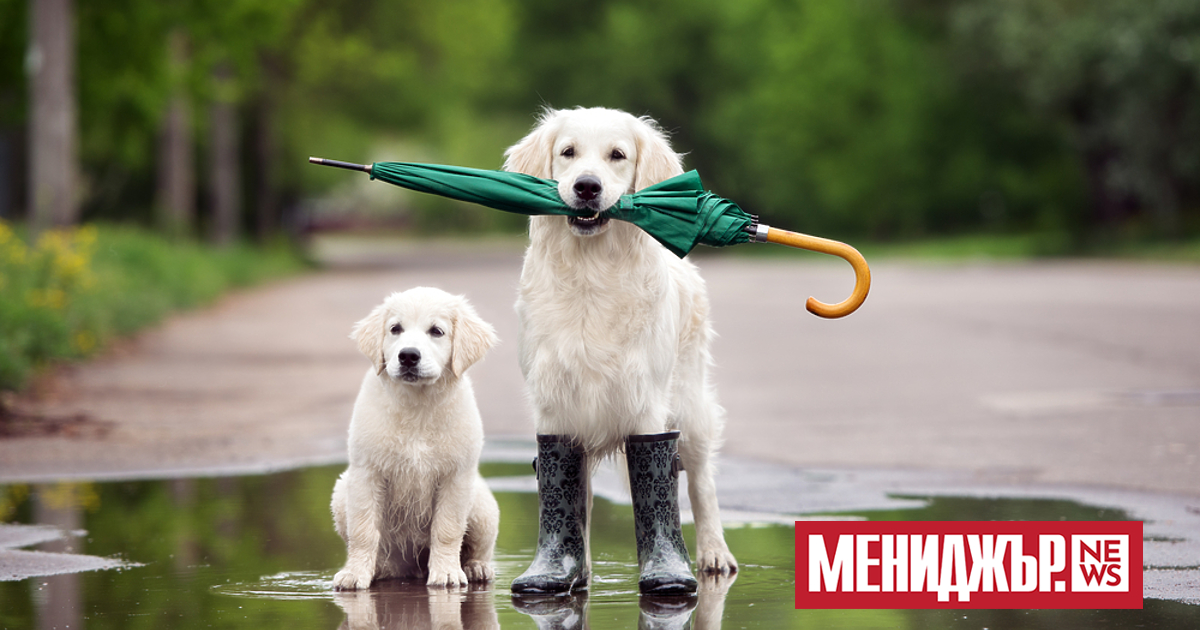 Днес и в Югозападна, и в Централна България има условия