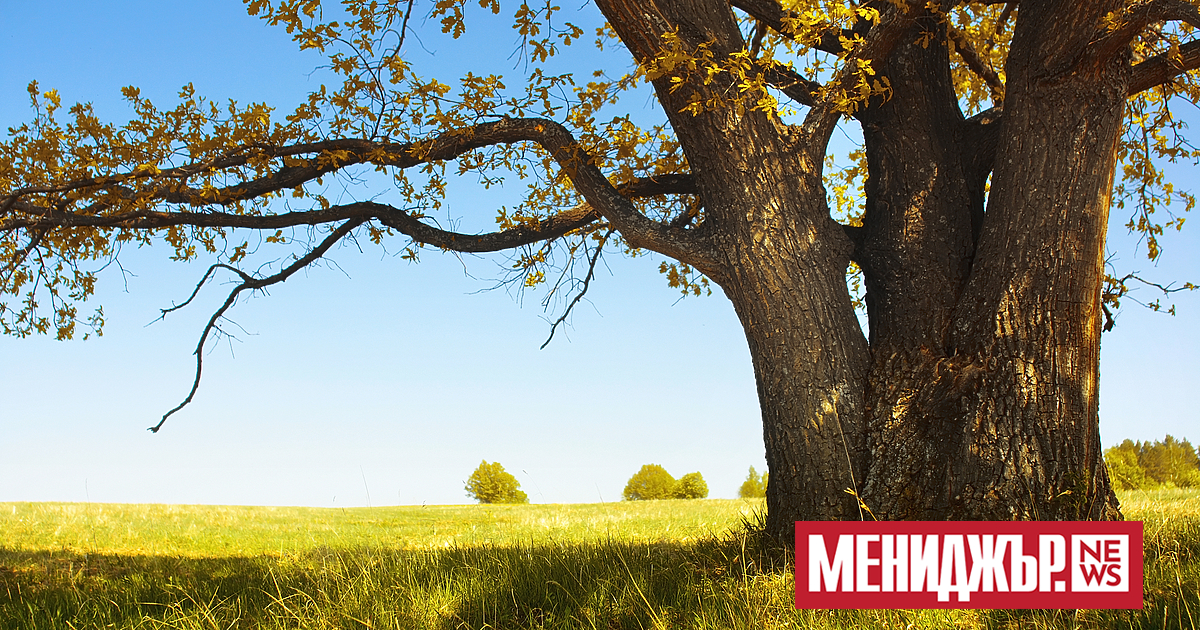 Предимно слънчево ще е днес с временни увеличения на облачността,