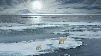 Гренландия главоломно губи ледения си щит 