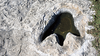 Тежката суша в централен Тексас откри огромни стъпки на динозавър на