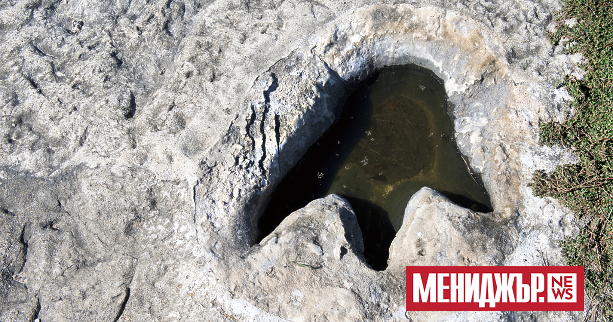 Тежката суша в централен Тексас откри огромни стъпки на динозавър на