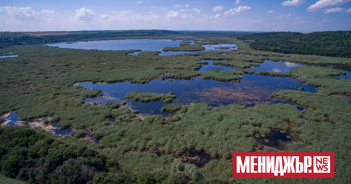 Ниското ниво на река Дунав е довело до понижаване на