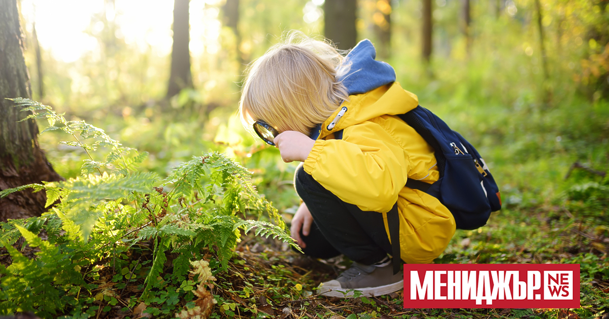 Ако прекарвате повече време в компанията на деца, знаете, че