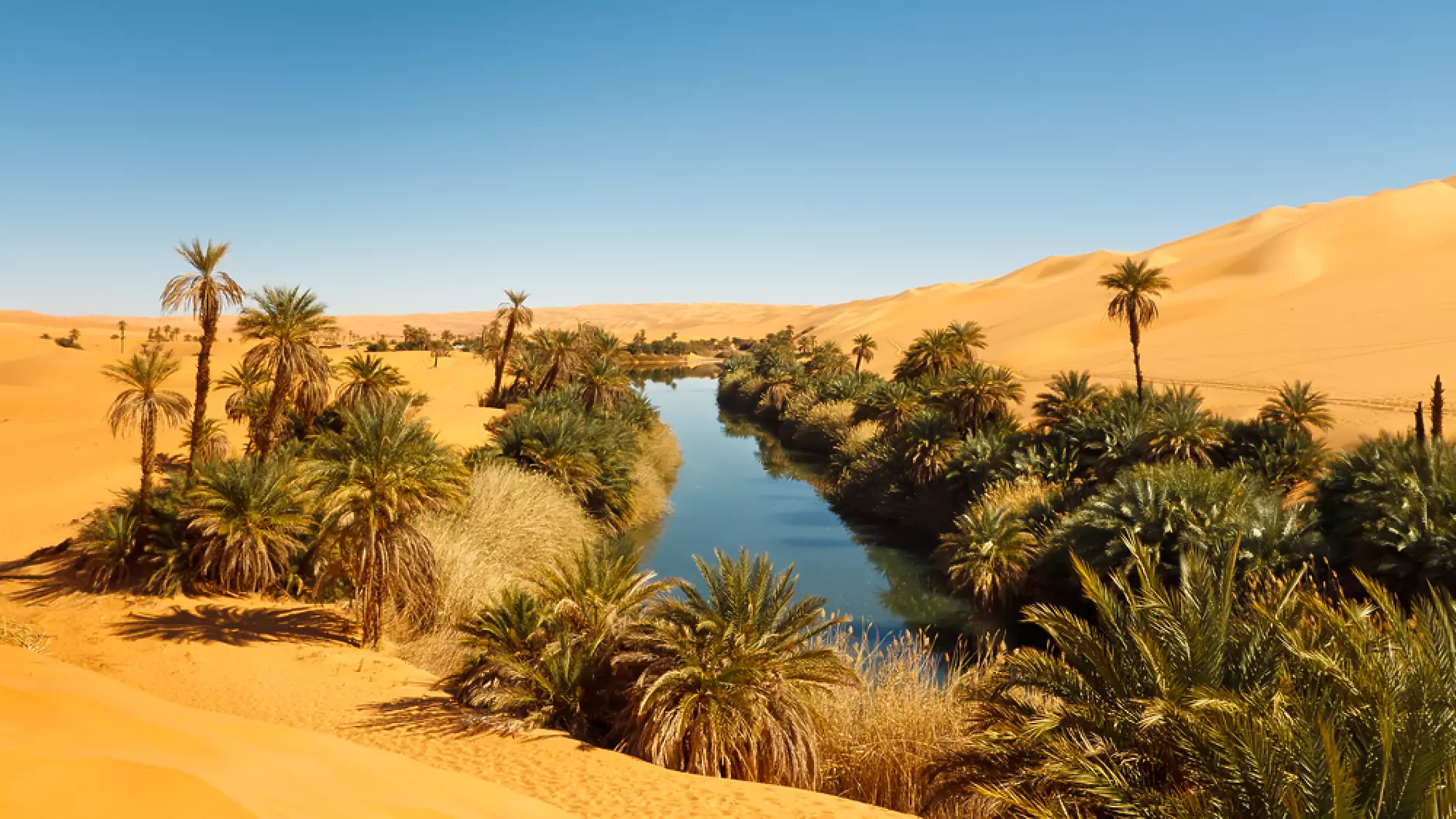 Мароко планира земеделски проект за 213 млн. долара в Западна Сахара
