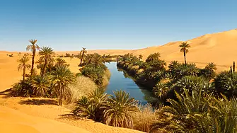 Мароко планира земеделски проект за 213 млн. долара в Западна Сахара
