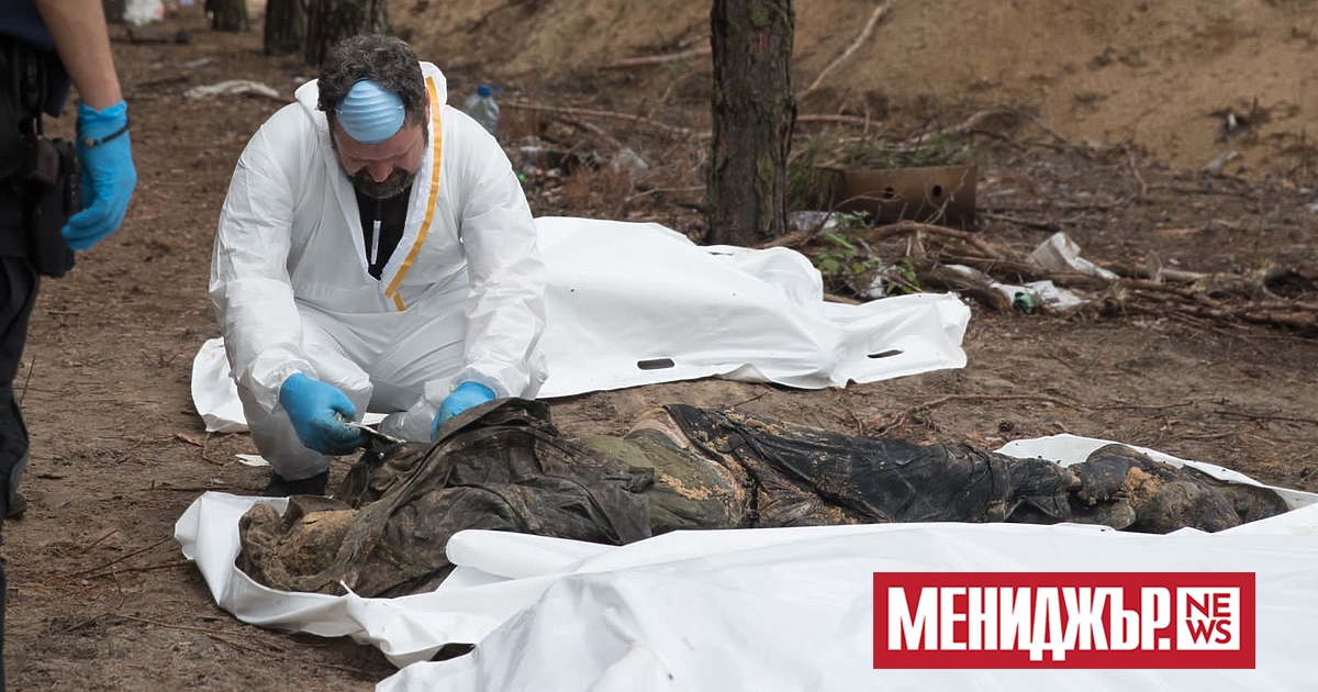 Eксхумирани са 146 тела от масовия гроб в горичката край