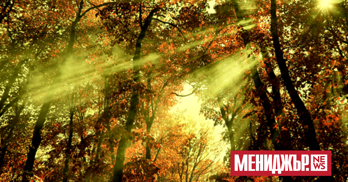 Предимно слънчев и приятно топъл ще е днешният ден. В