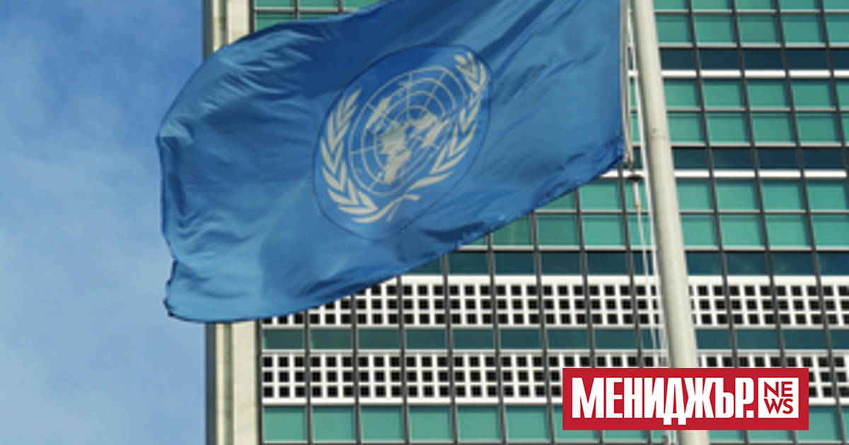 Официалната русофобия на Запад е безпрецедентна, а нейният мащаб -