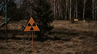Еволюция в Чернобил - радиацията промени окраската на жабите