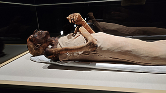 Огромен гранитен саркофаг принадлежал на Ptah em wia ковчежника на крал