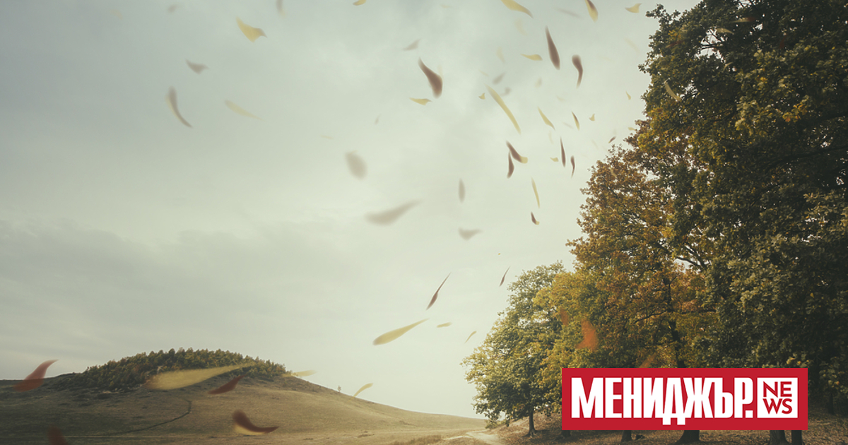 Оранжев и жълт код за силен вятър е в сила