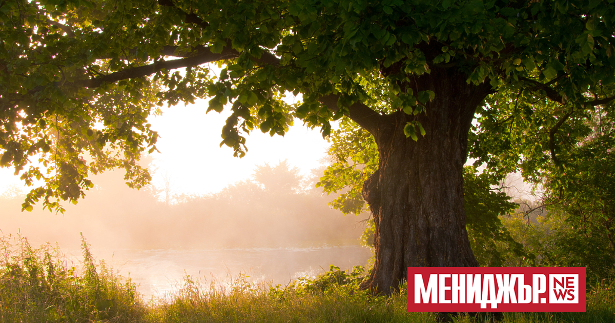 Хладно за сезона ще бъде времето и в днешния празничен