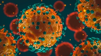 Резистентен към ваксина коронавирус е открит при прилепи в Русия