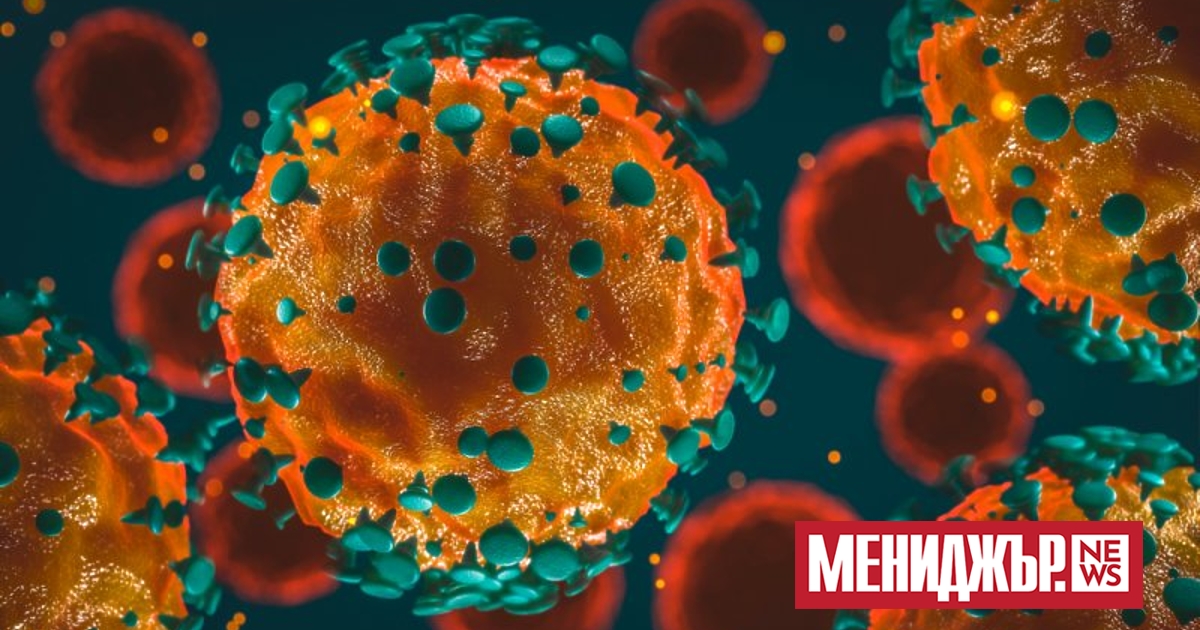 Резистентен към ваксина коронавирус е открит при прилепи в Русия.