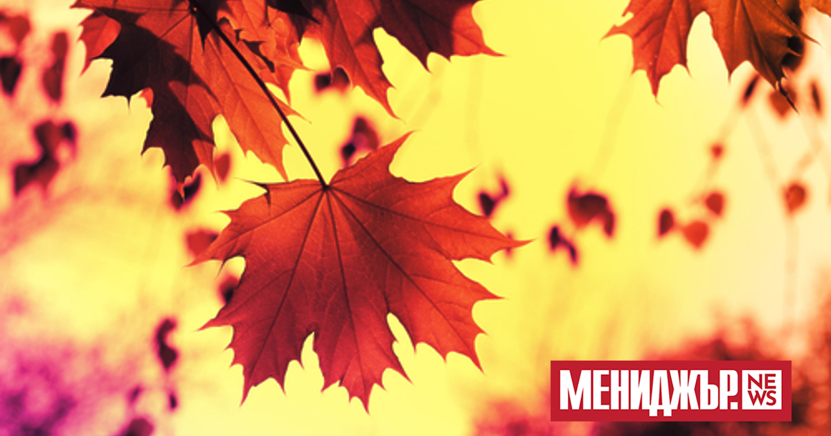 В събота облачността от запад ще се разкъсва и намалява,