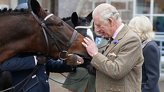 Крал Чарлз III  ще продаде 12 състезателни коня от кралските