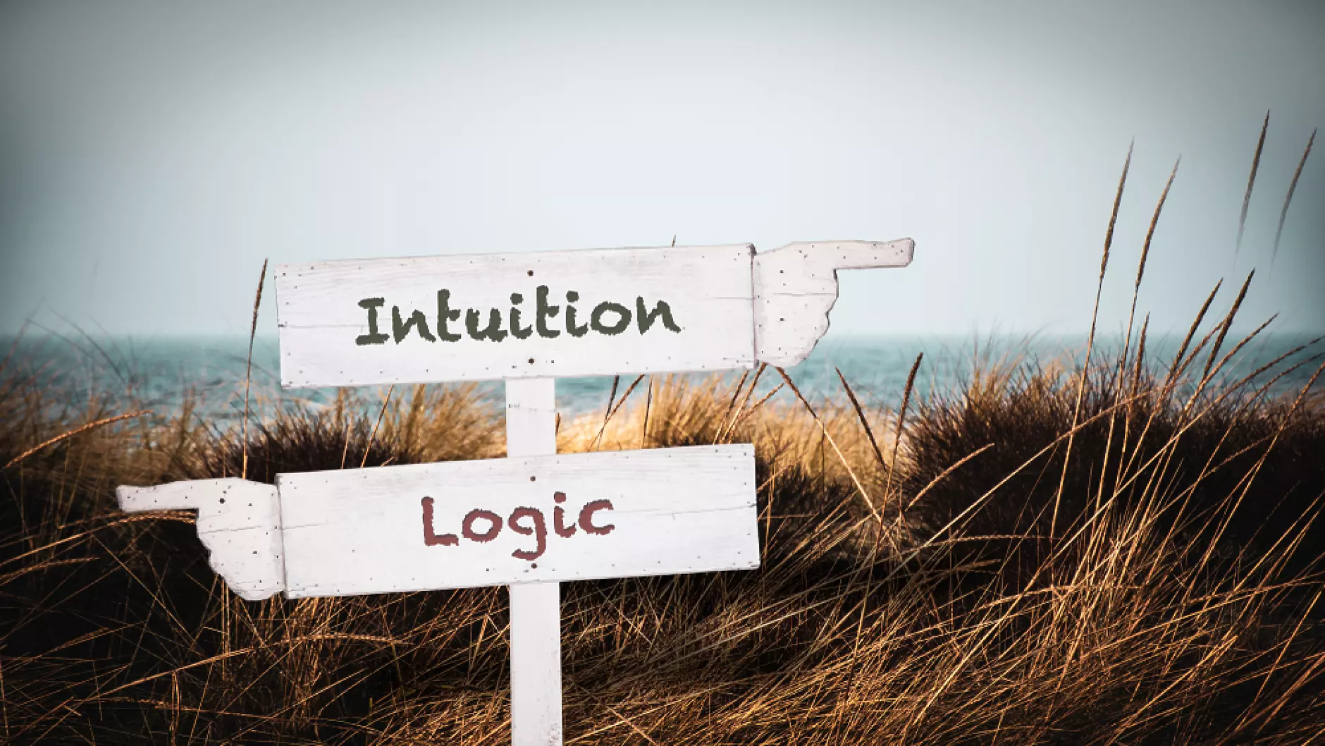 Точният баланс между интуиция и логика