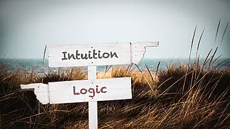 Точният баланс между интуиция и логика