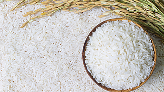 Наложените преди време от Индия ограничения на износа на ориз