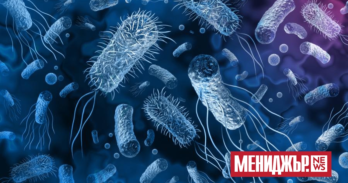 На Земята съществуват вероятно трилиони различни микробни видове и до